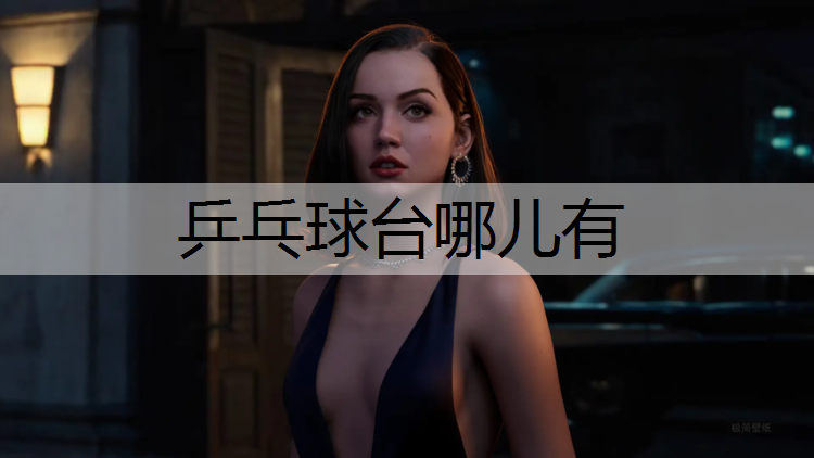 乒乓球台哪儿有 乒乓球台哪儿有