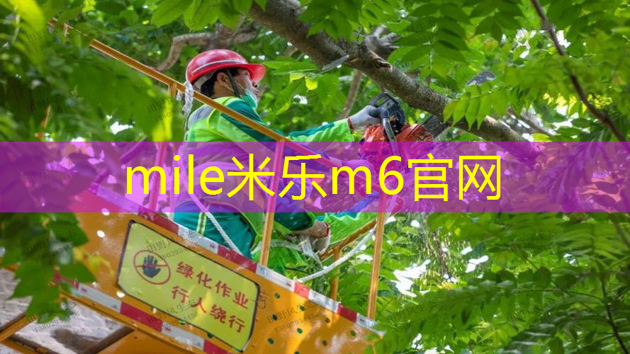 网球拍的透明线叫什么