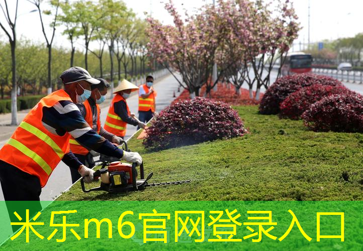 网球拍成人单拍不带线