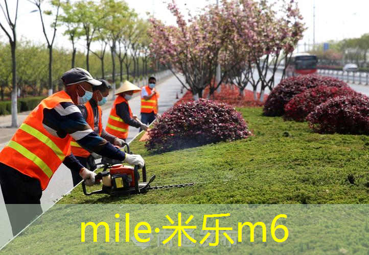 田径比赛检录处器材