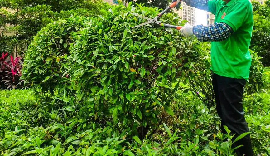3mm硅pu篮球场施工几天